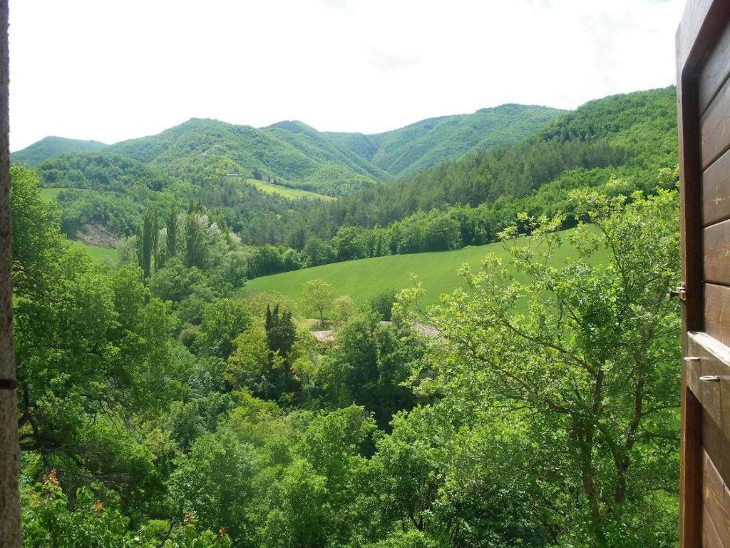 Agriturismo Orsaiola Урбания Номер фото